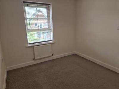 Picture 26